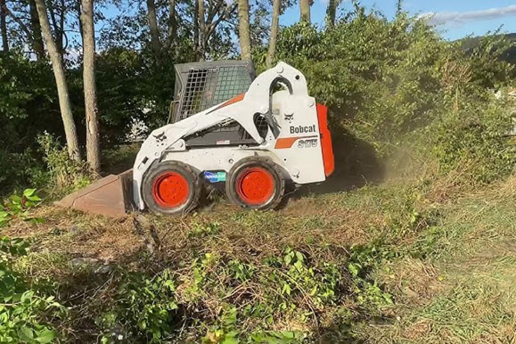 land_clearing_services
